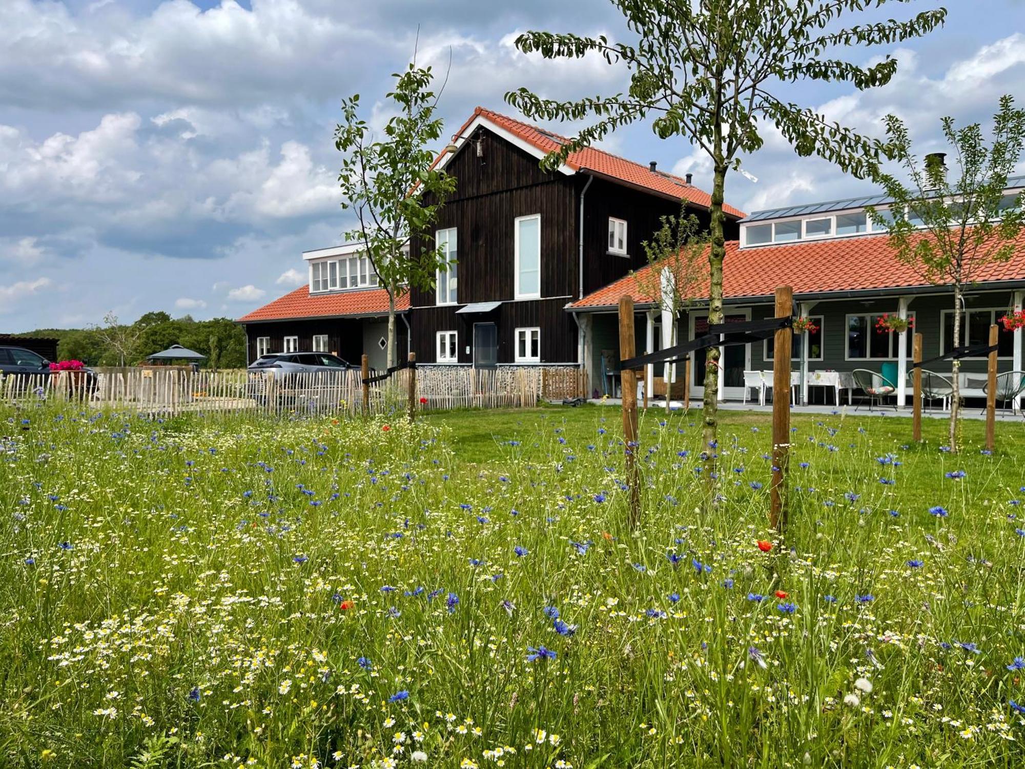 Vakantiehuis Noflik Nijemirdum Exteriör bild